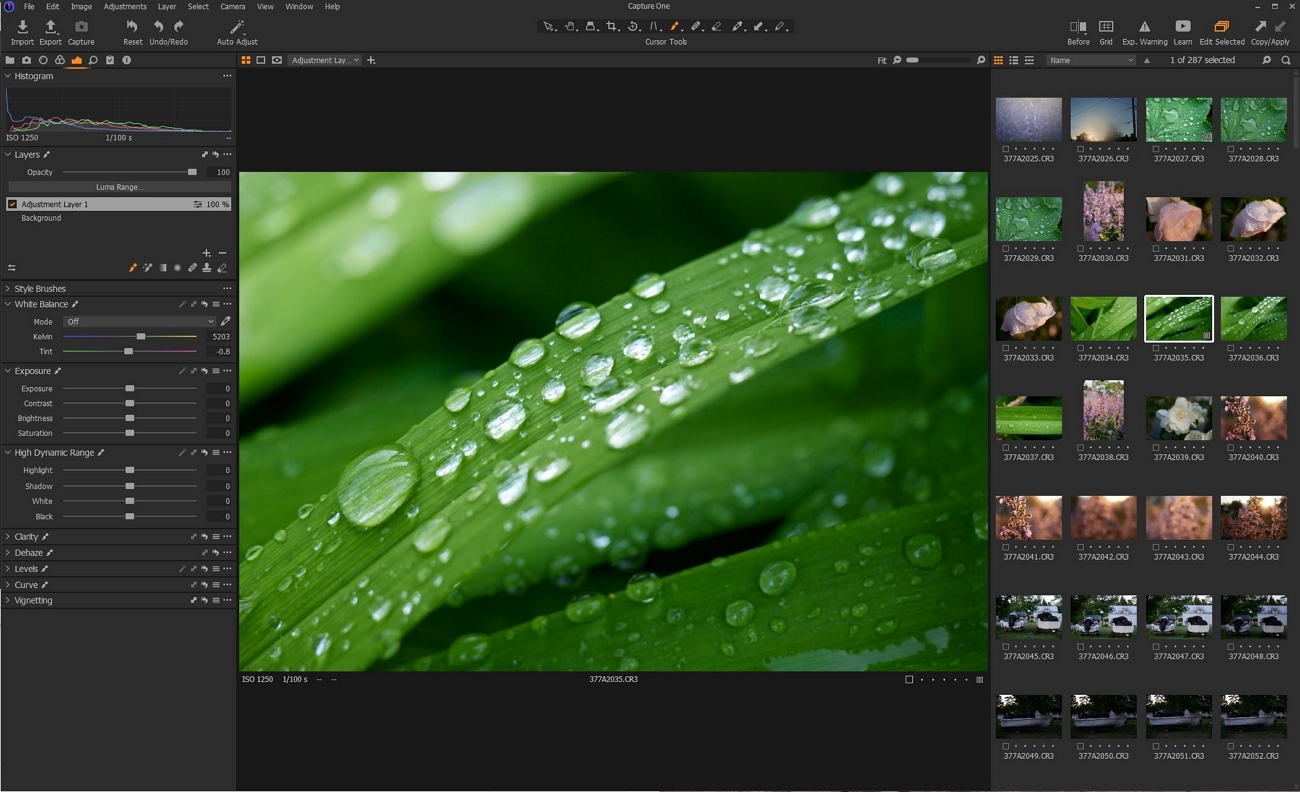 interface capture one pro