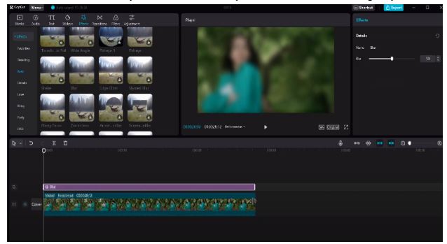 Explained How To Blur Video In CapCut 
