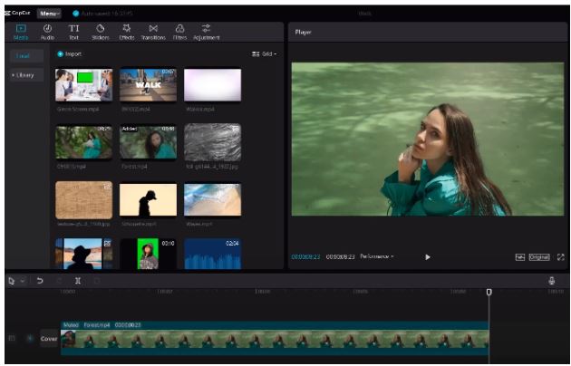 CapCut vs. Premier Pro in the Ultimate Video Editing Face-Off