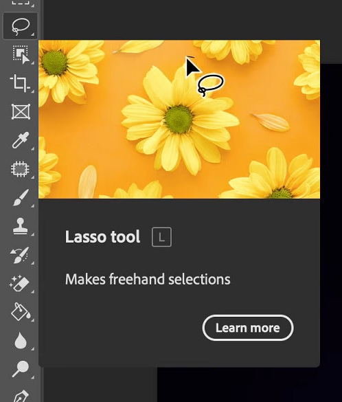 Wählen Sie das Lasso-Tool in Photoshop