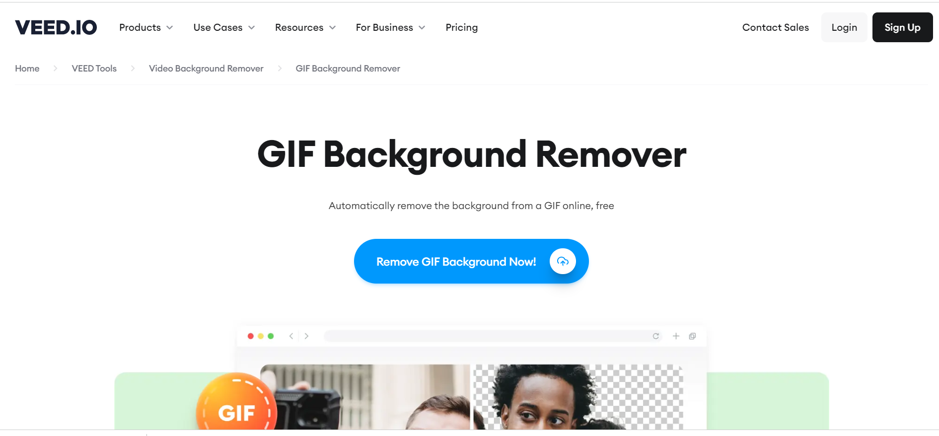 Transparent Background - Remove Background from Images - VEED