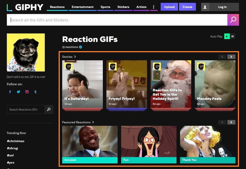 Visit GIPHY and Find a GIF