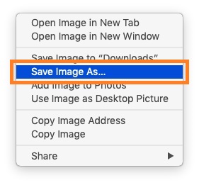 How to Save a GIF on Your Computer 