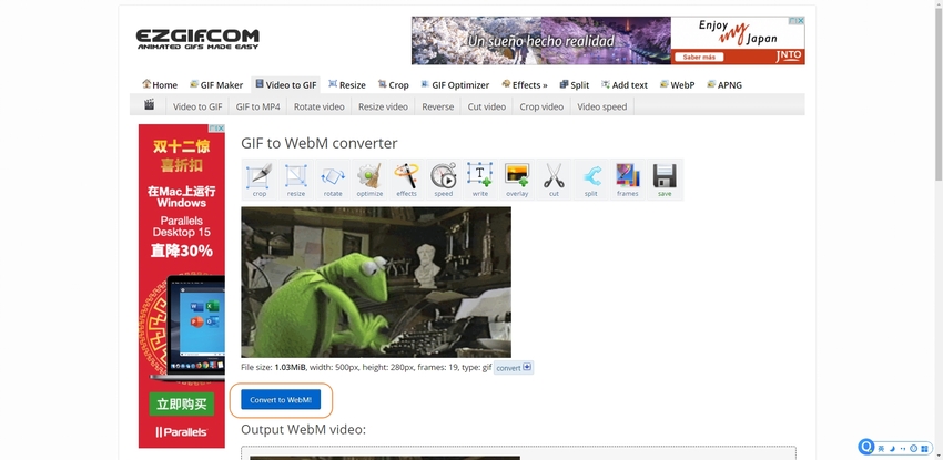 WebM to GIF  Convert WebM to GIF Fast with Ease