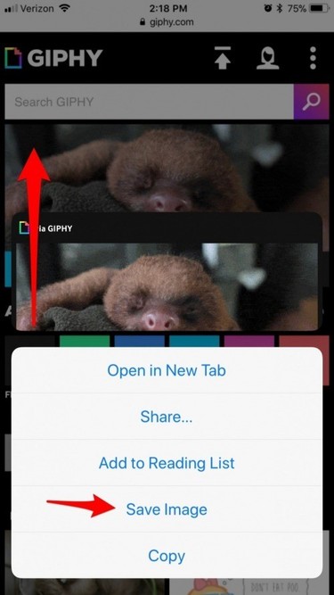 How to Save GIF to Camera Roll