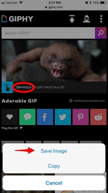 Cara Penyimpanan GIF pada iPhone