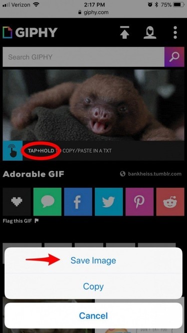 Monkey Uses iPhone on Make a GIF