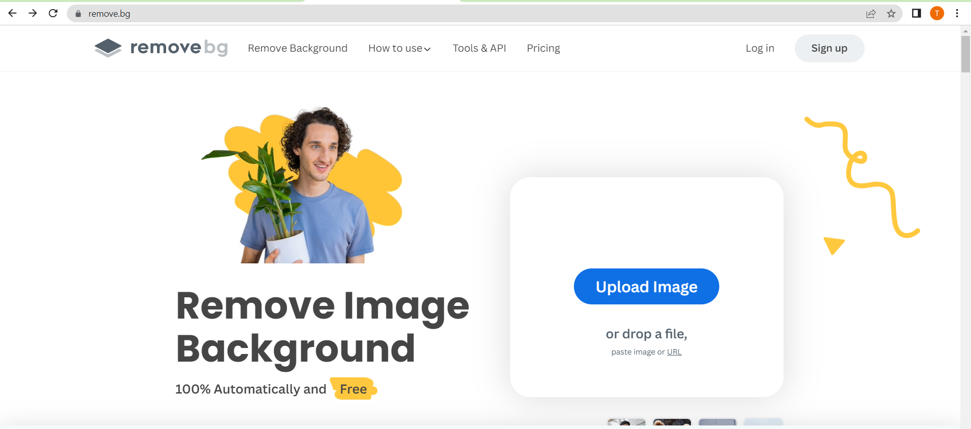 activating the web-based image editor