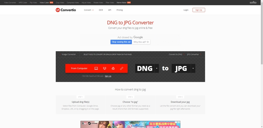 DNG to JPG Conversion-Convertio