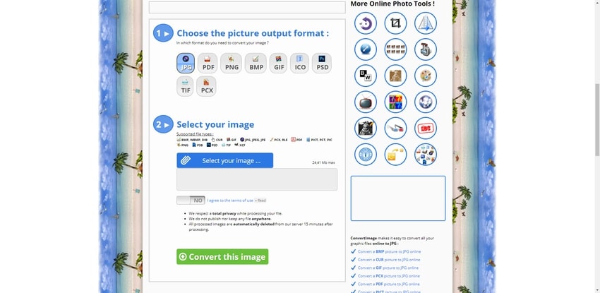 convert picture to JPG format in ConvertImage