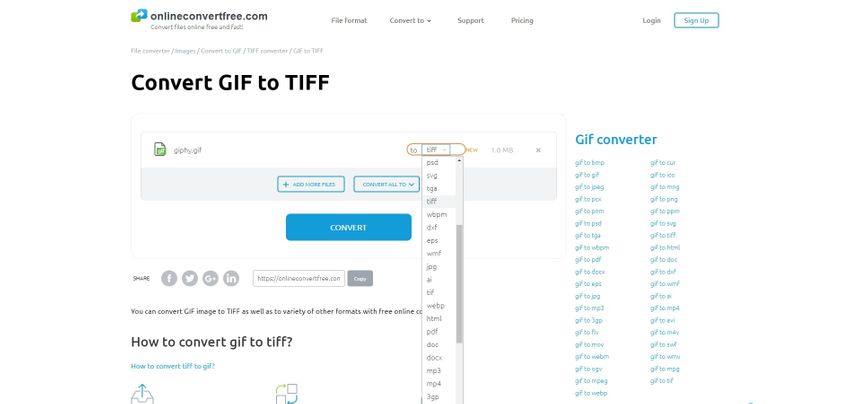choose TIFF file extension-Onlineconvertfree