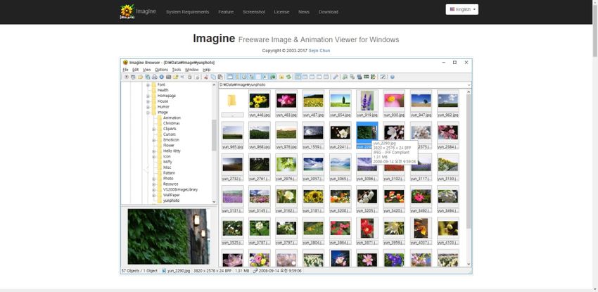 GIF file veiwer-Imagine