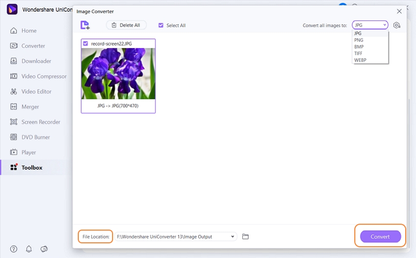 The Jpeg Image Format Explained