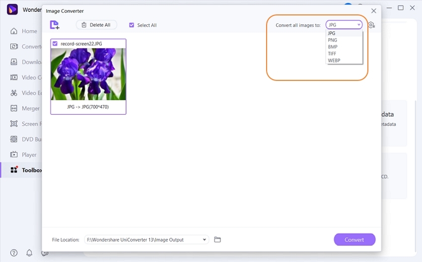 choose JPG format as Output form in UniConverter