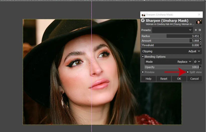 9 Photo Sharpening Software Enhance Images Like A Pro