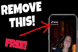 melhores apps pra animes gratis|การค้นหา TikTok