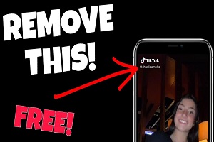 15 Best Free TikTok Watermark Removers  for Any Device