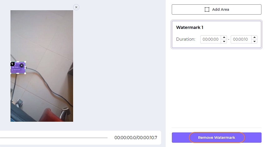 remove the TikTok watermark