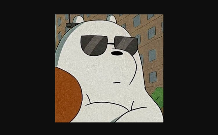 cool profile picture - ice bear