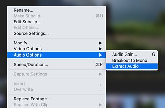 extract audio from video on adobe