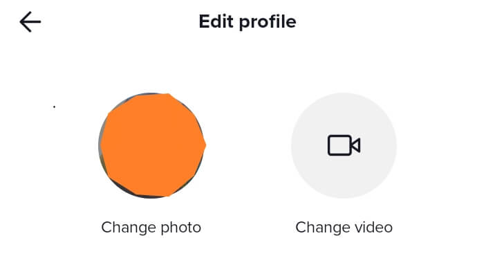 TikTok PFP Guide for 2022 - TikTok Profile Pictures