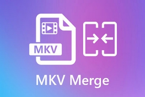 Merge MKV Files Instantly