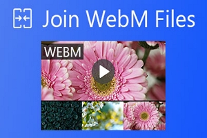 Merge WebM Files with Ease