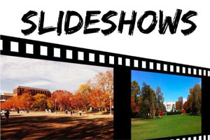 12 Best Slideshow Softwares Free