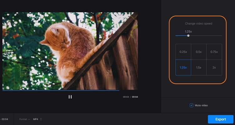 choose a video playback speed