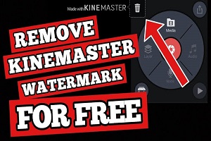 Quickly Kinemaster Watermark from Videos