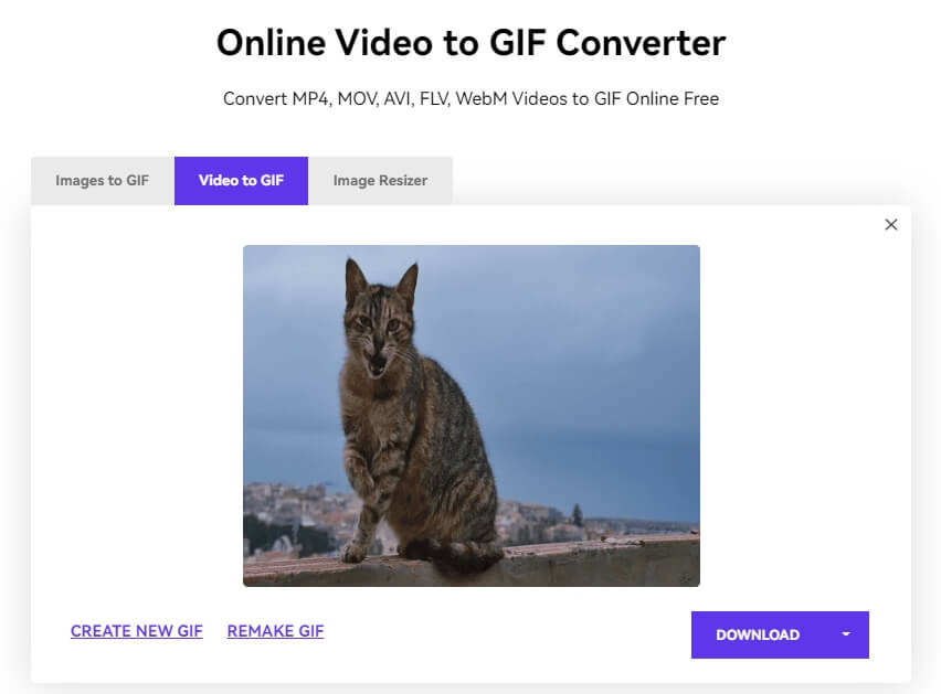 download gif with Media.io