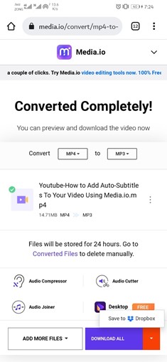 download the converted file