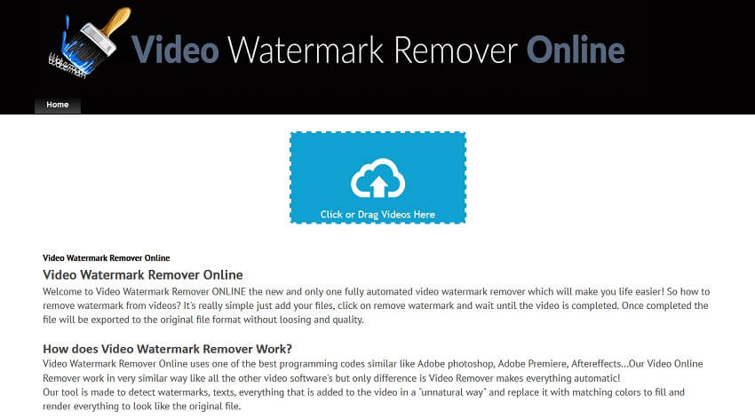 video watermark remover online for video