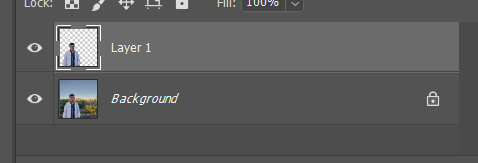 turning off background layer visibility