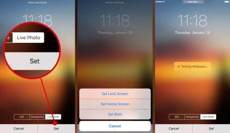 how-to-set-live-wallpapers-on-iphone-2