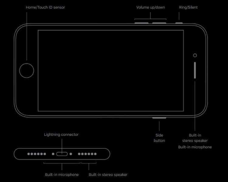 iphone-se-2020-design