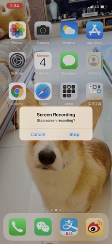 Press Stop Red icon in iOS to Save Facetime Video Recorded
