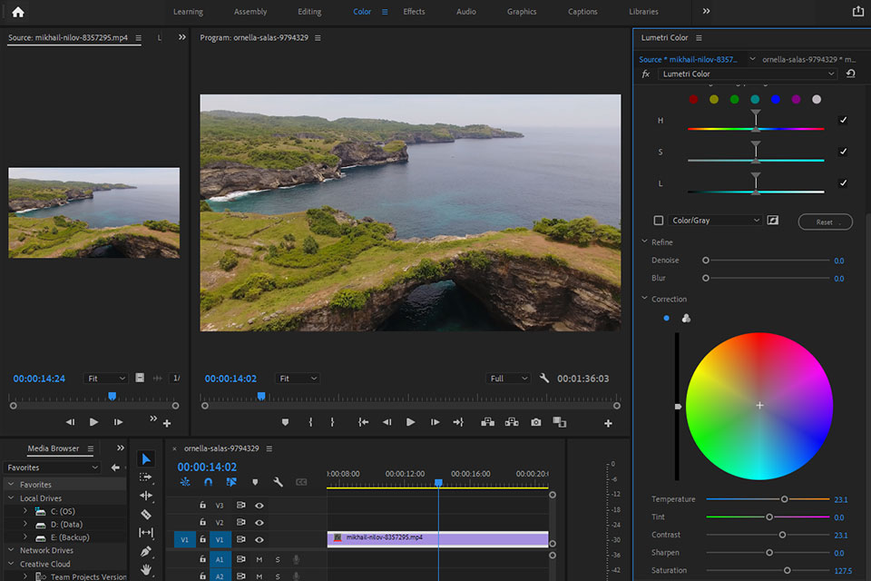 premiere pro