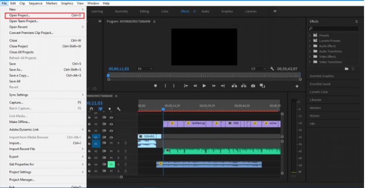 guida di premiere pro 1