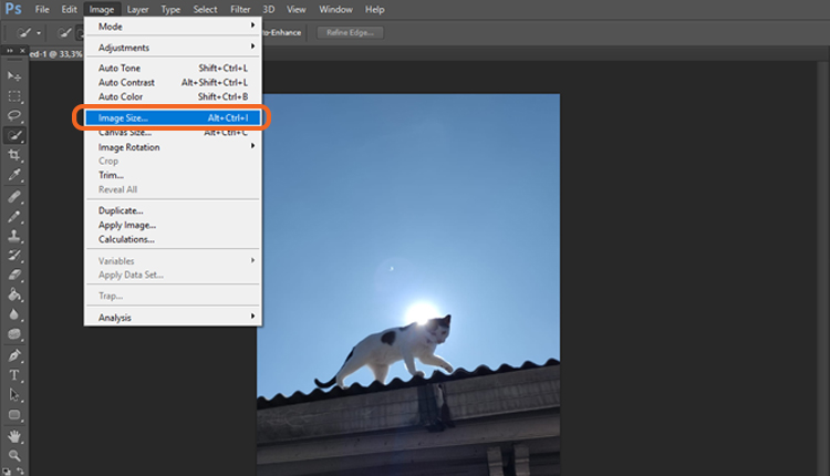 2024 Resize Images In Photoshop Without Losing Quality   Photoshop Resize Image 4 