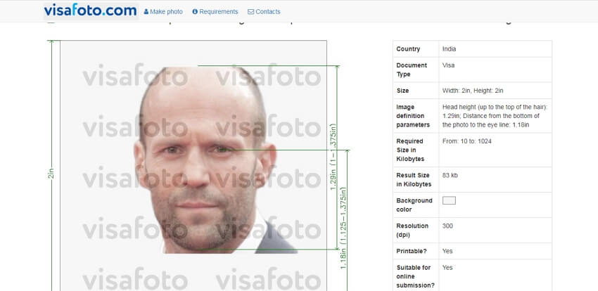 create us visa photo tool