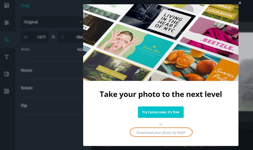 how-to-resize-images-in-canva-easily-online