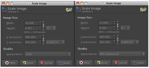 resize image in gimp