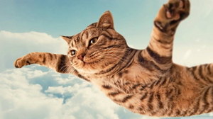 4 Funniest Cat Kitten Videos to Relieve Stress [Most-Viewed]