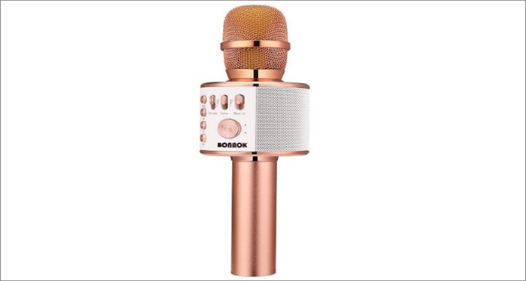 Best Karaoke Microphone