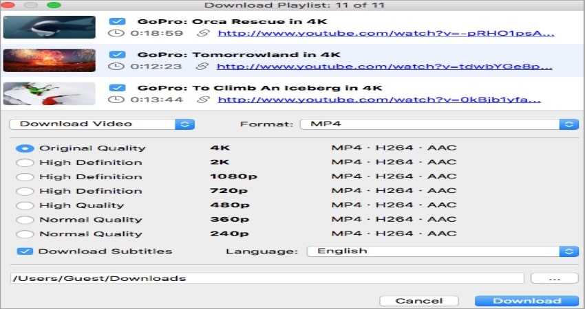 youtube downloader mp4