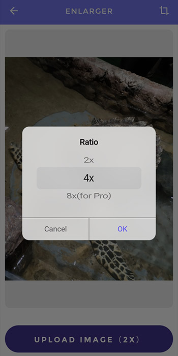 select the ratio and upload image