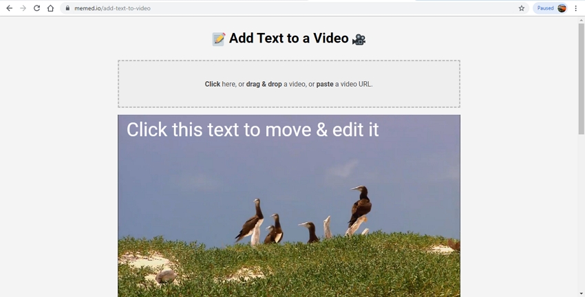 Video Text Editor Online-Memed
