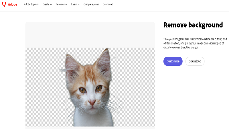 adobe express website background remover